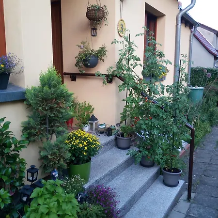 Unterkunft Mohr Wiesenburg Esterno foto